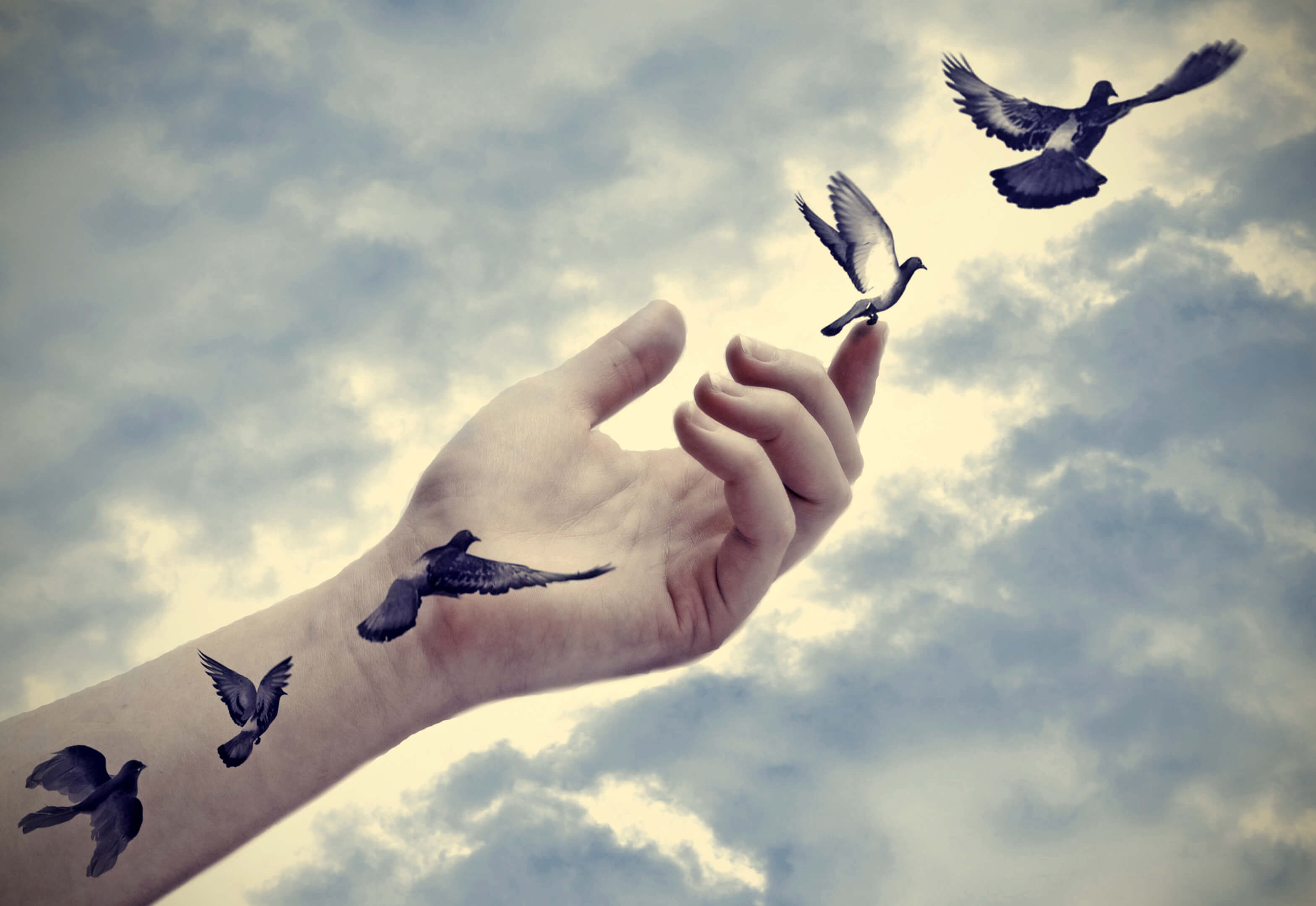 Case #14 — Sleep: holding on and letting go