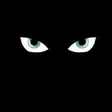Case #16 — Smiling eyes, scary eyes