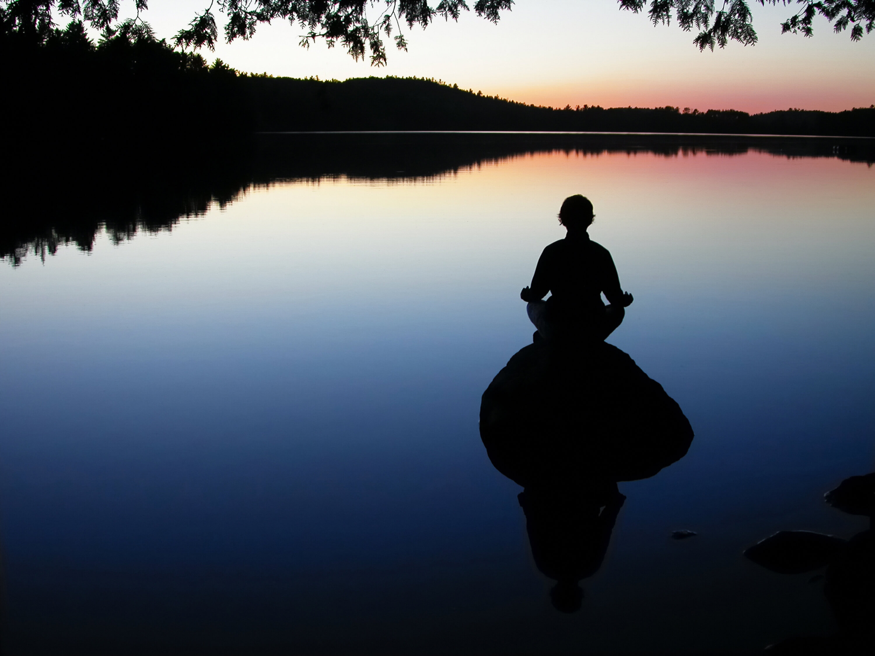 Case #171 — Peaceful warrior