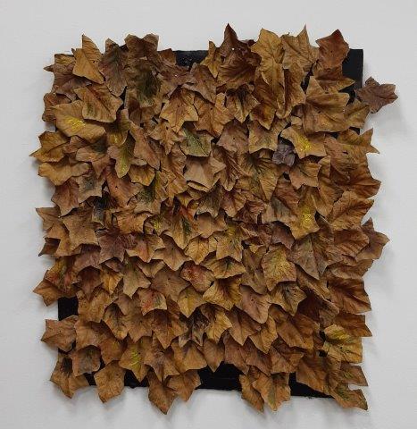 Russet